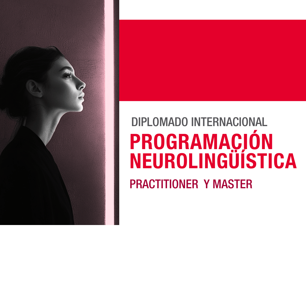 pnl practitioner (1)